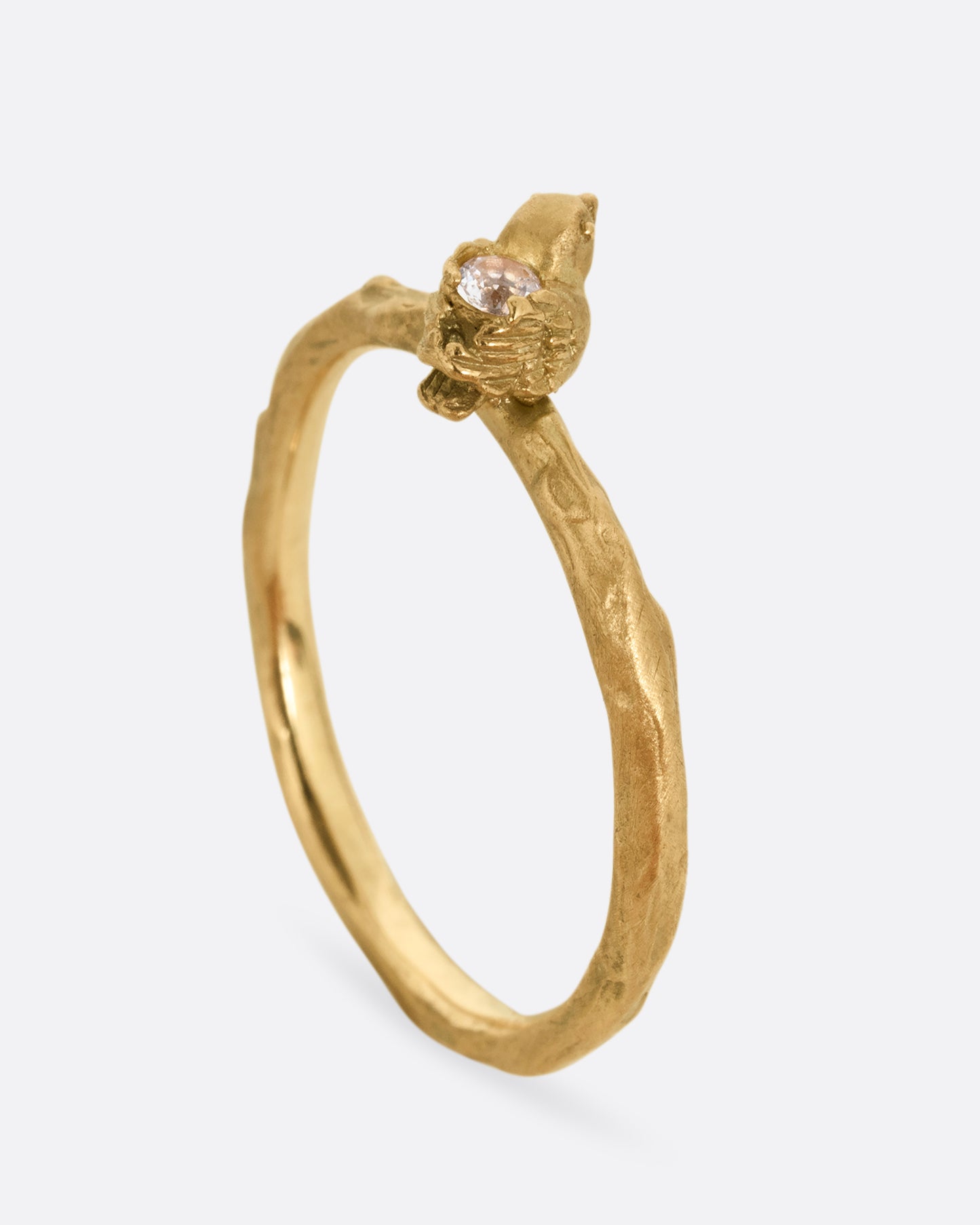 Flycatcher Bird Ring