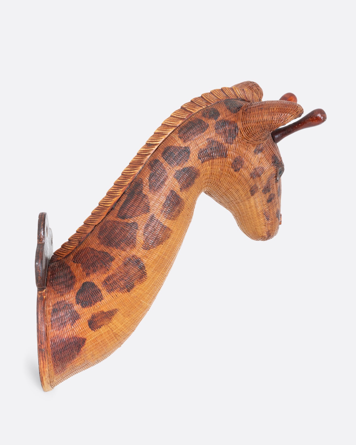 Giraffe Head