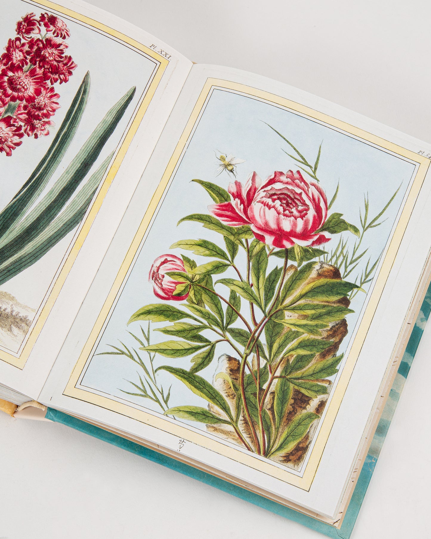 John Derian Sticker Book