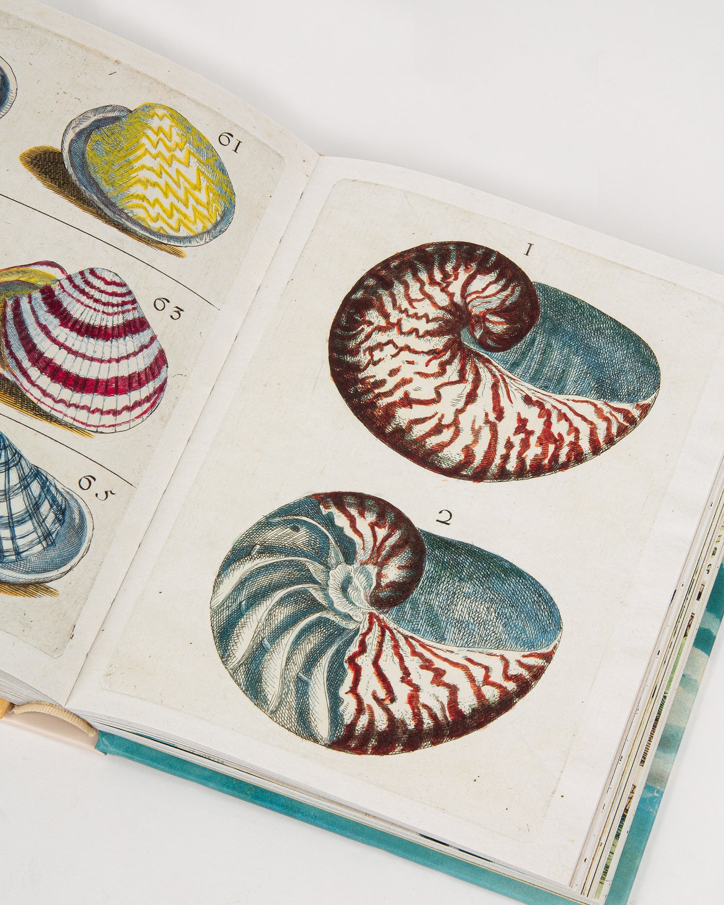 John Derian Sticker Book