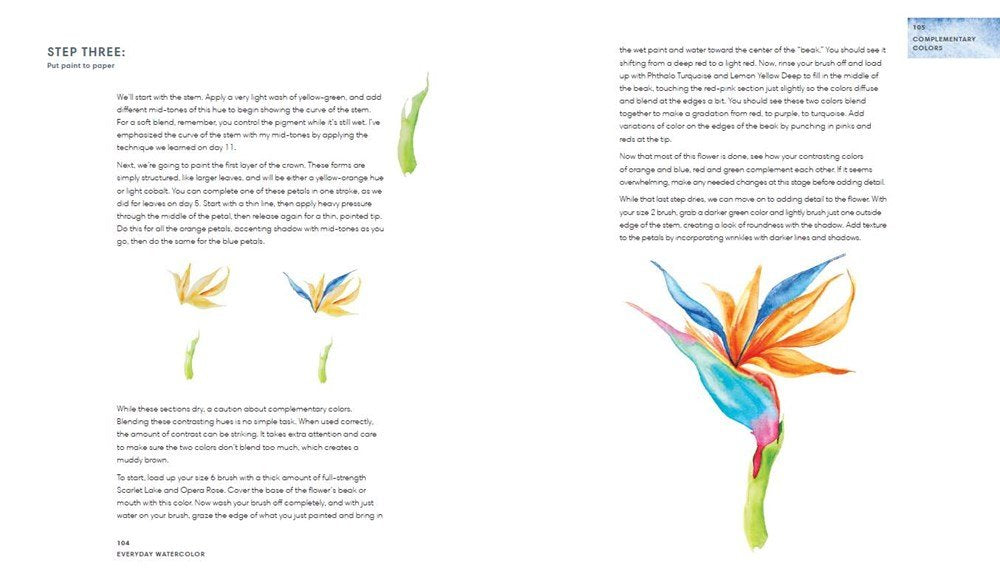 Two pages from a watercolor how to book. Both pages have guided steps to painting a flower with painted examples. Shown open from the front.