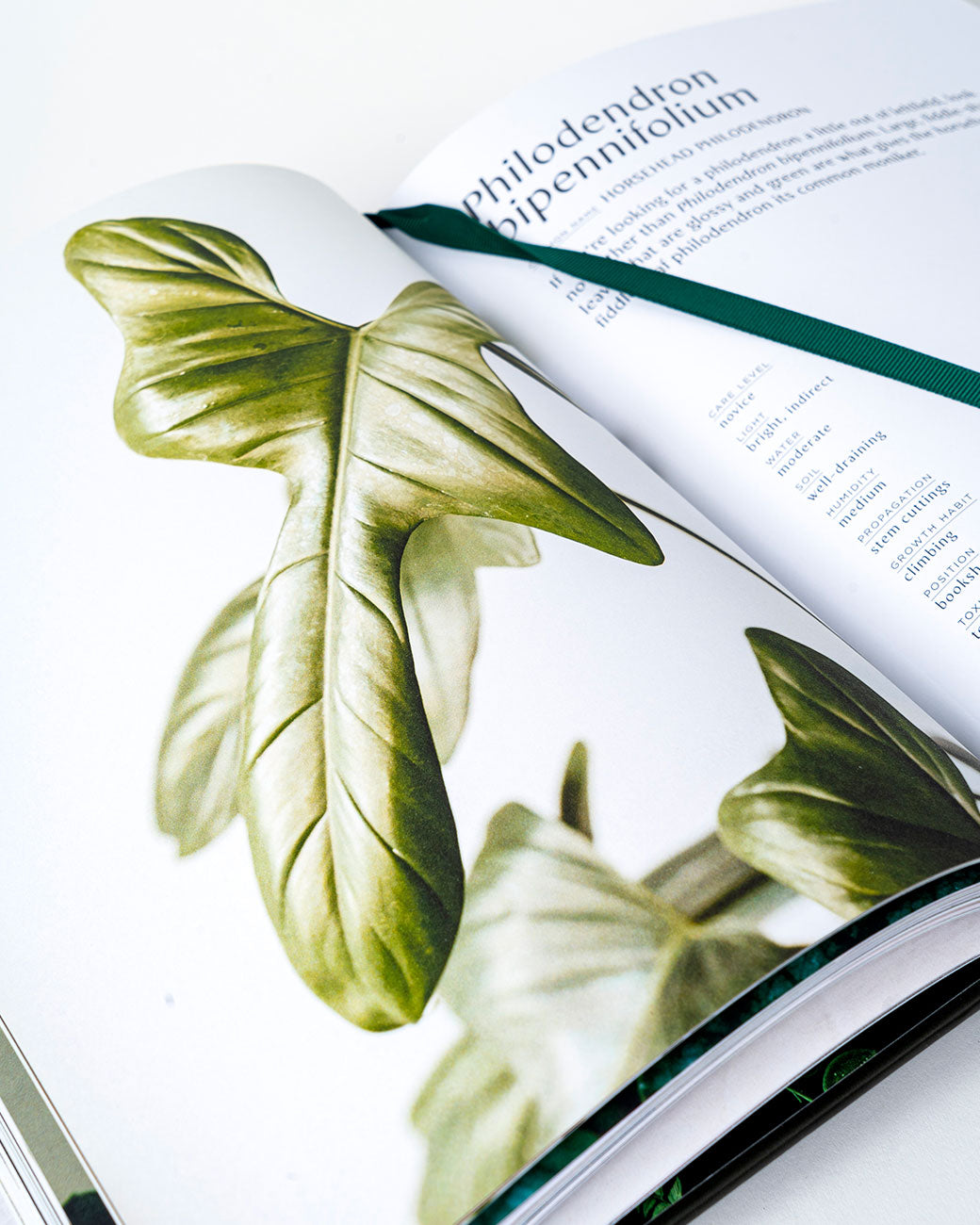 An open book with a photo of plants and typed information. Shown lying flat diagonally from the front with a green ribbon book marker.