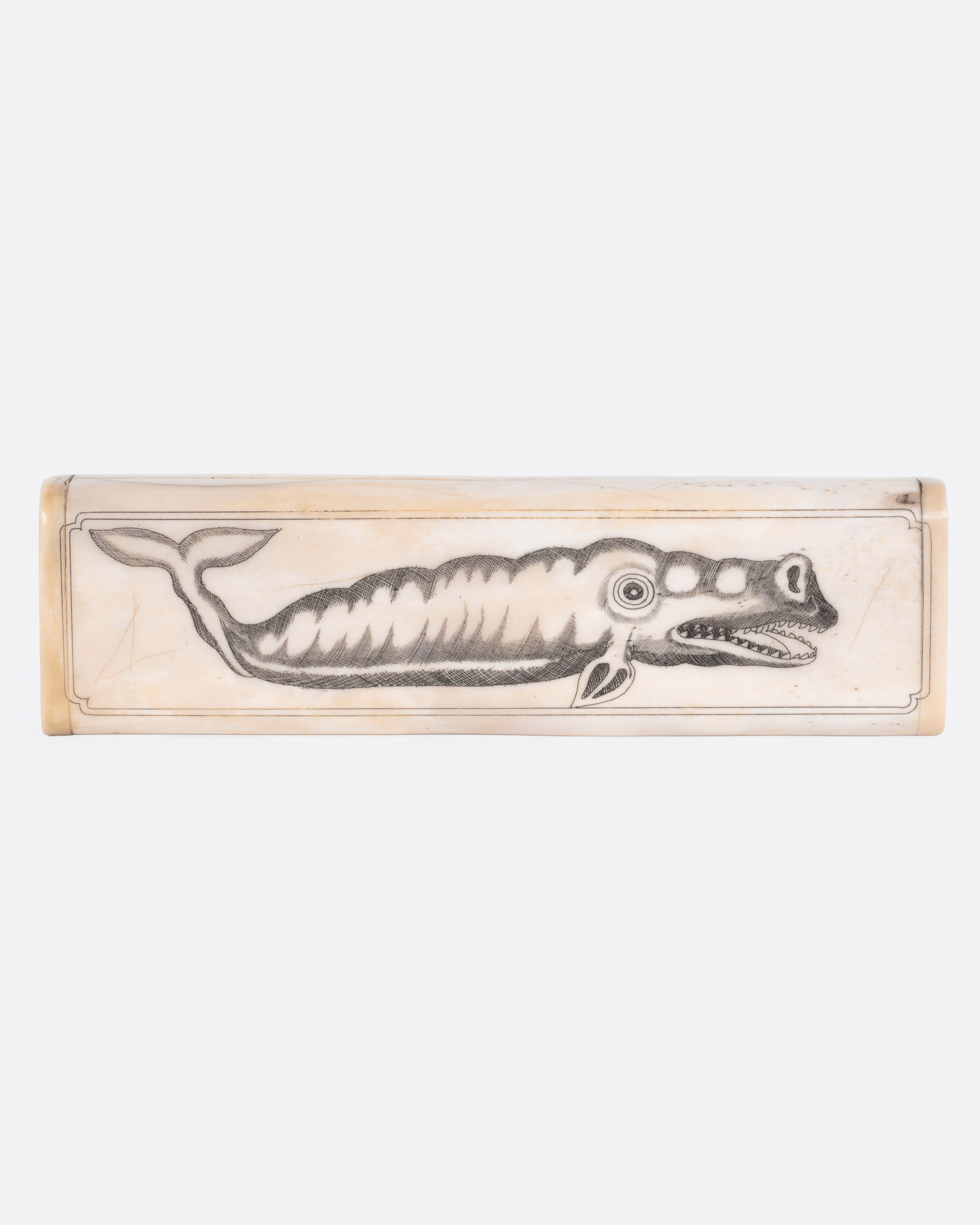Scrimshaw Whale Box image