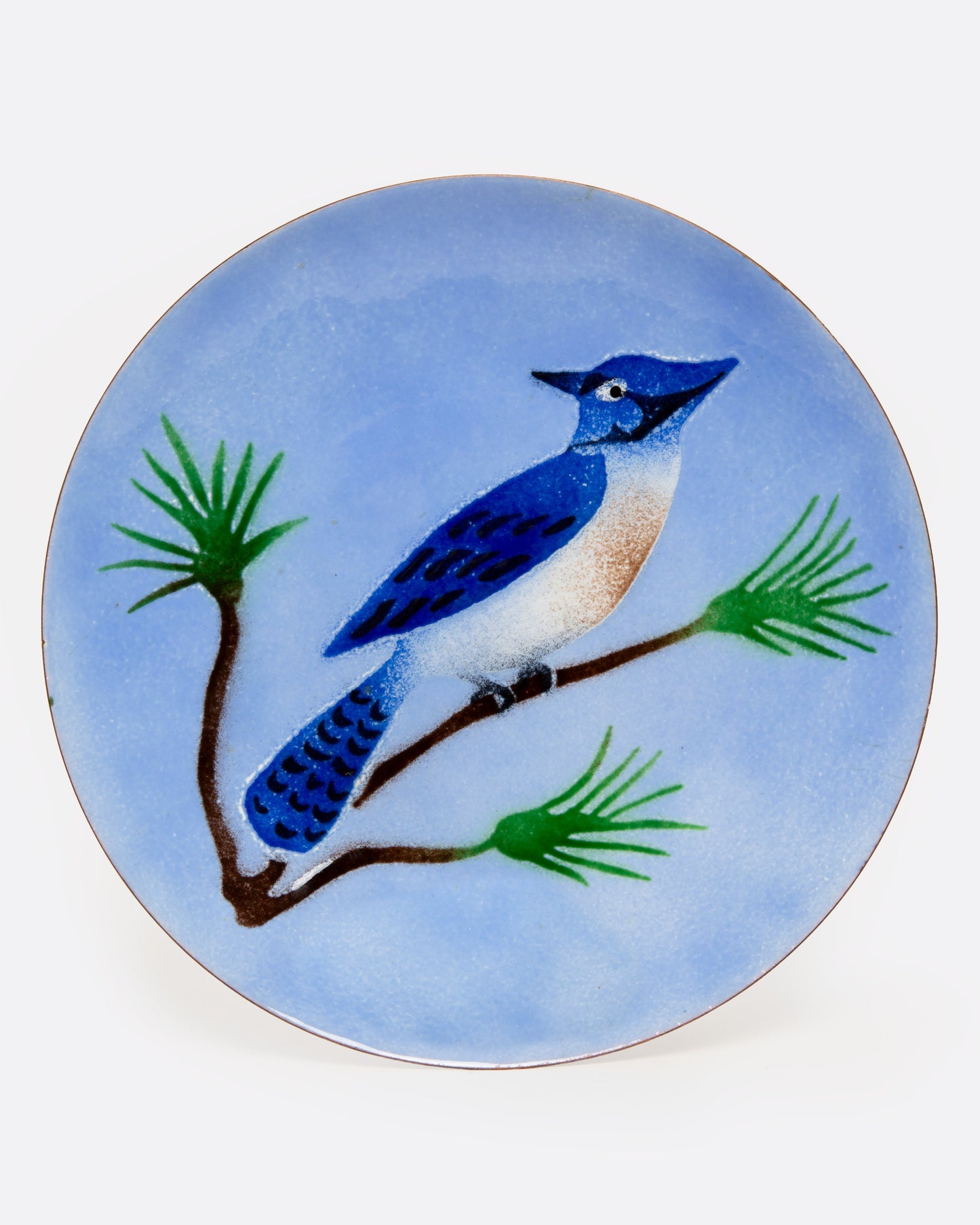 Blue Jay Dish