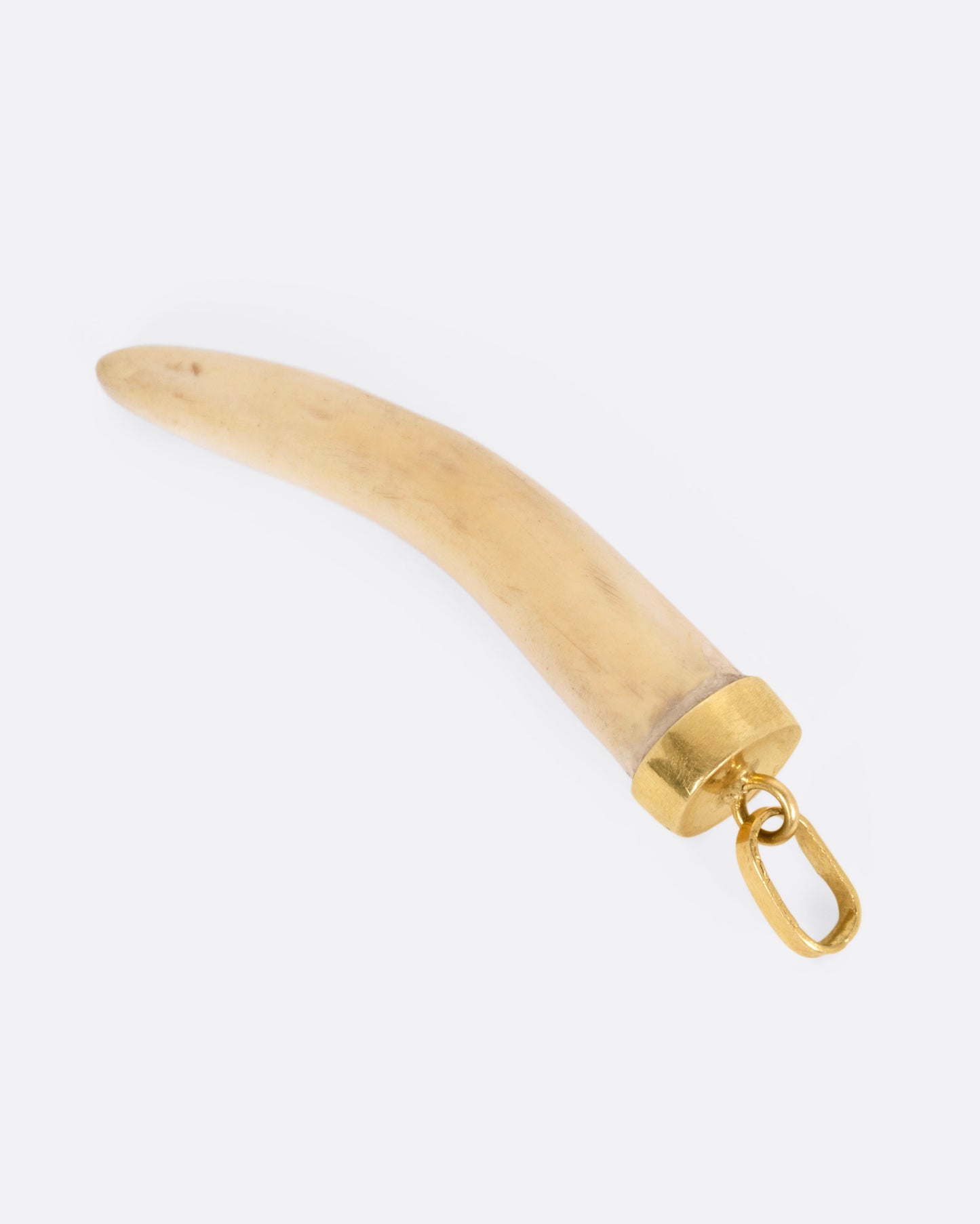 Horn Charm