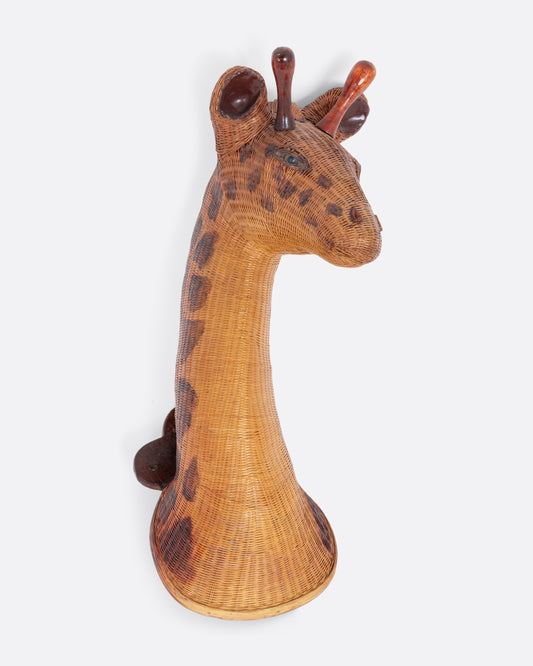 Giraffe Head