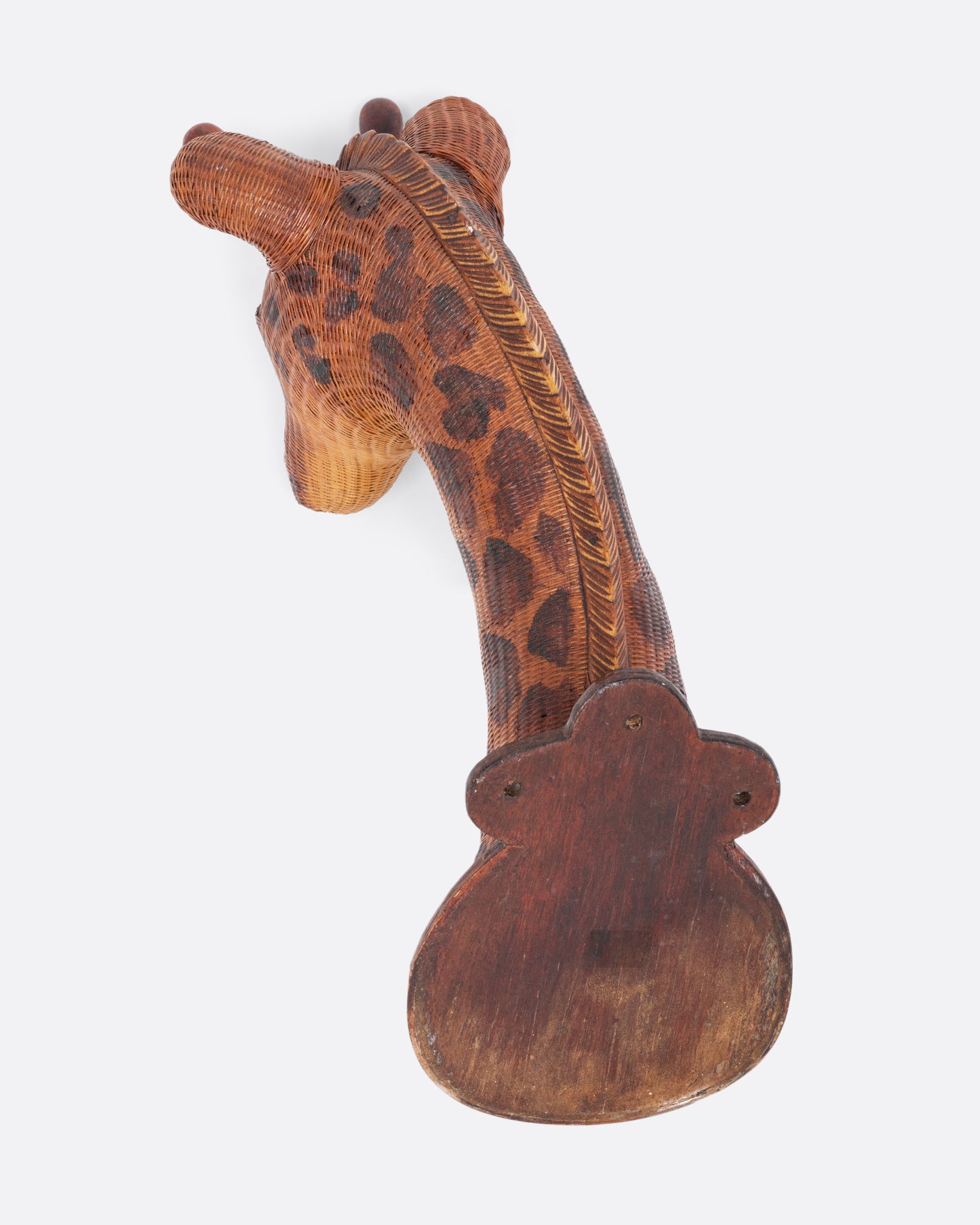 Giraffe Head