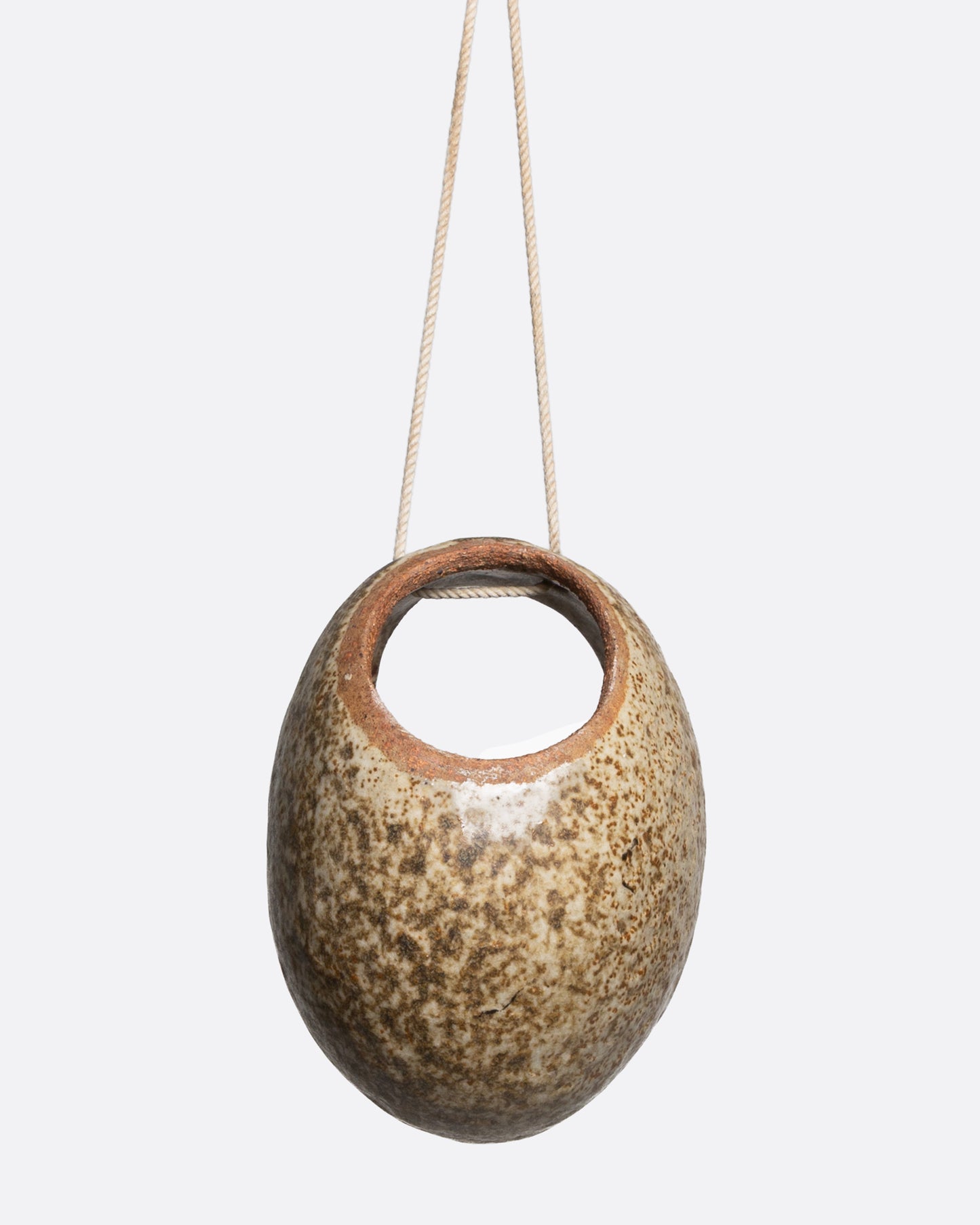 Egg Shaped Hanging Planter