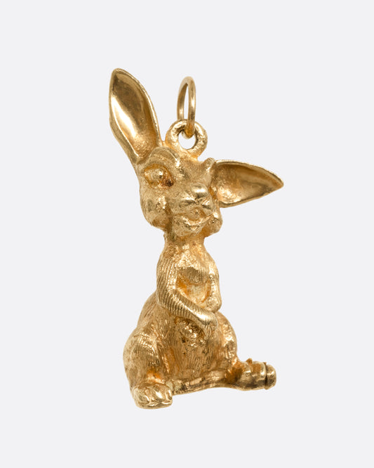 Rabbit Charm