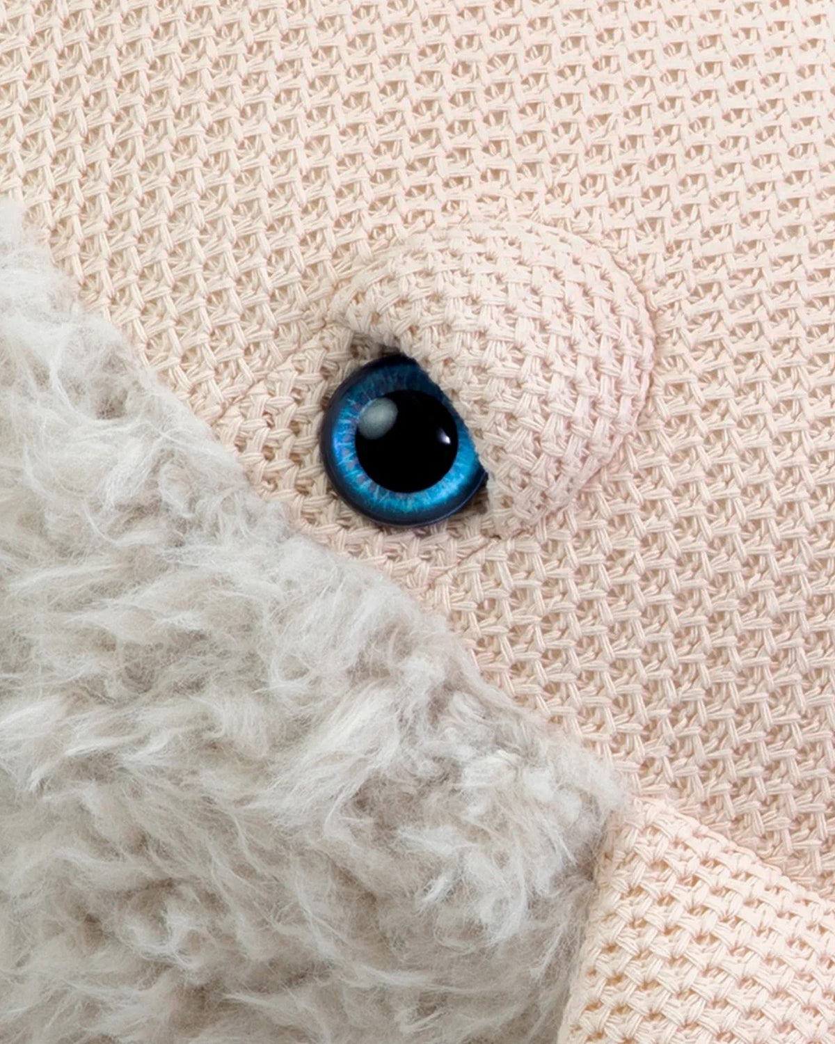 Close-up of a pink stuffed whale's blue eye and knit texture.