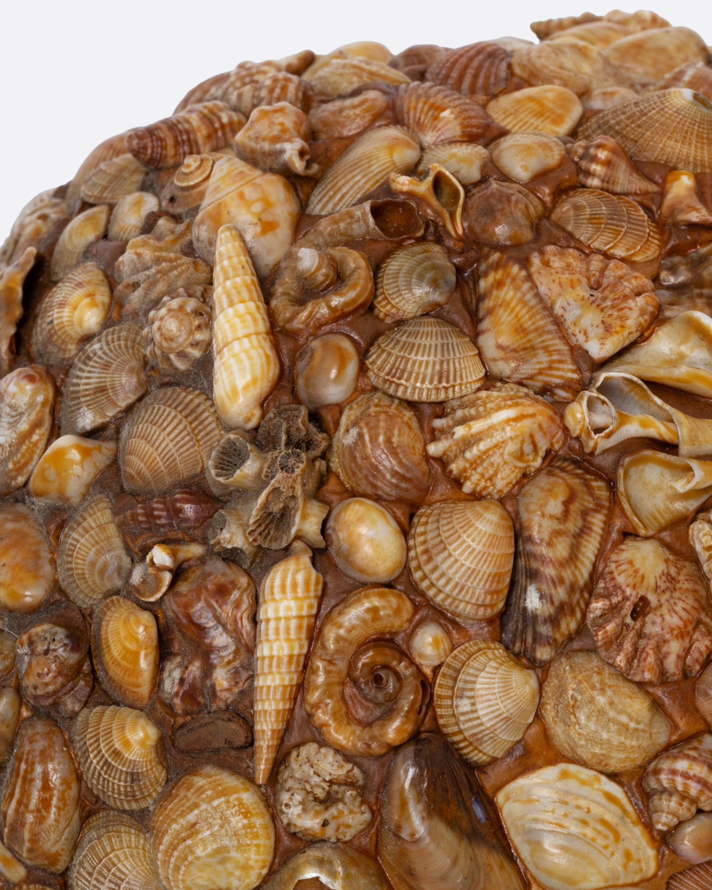 A close up of a bottle covered in shells to create a mosaic.