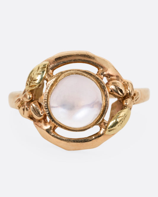 A rose and yellow gold moonstone cabachon ring, shown from the front.