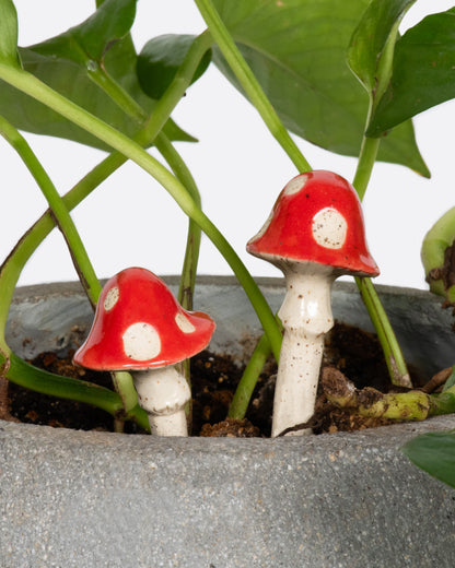 Ceramic mushroom plant stakes, placed in a potted plant