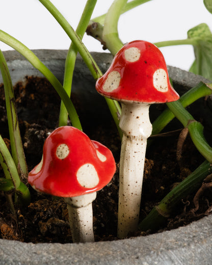 Ceramic mushroom plant stakes, close view in a potted plant