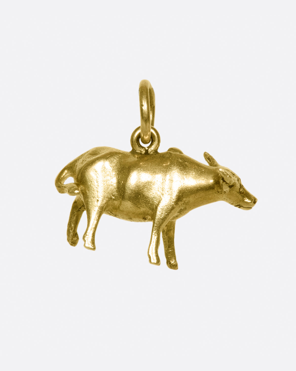 This creature may have belonged to a Taurus or maybe a friendly farmer.