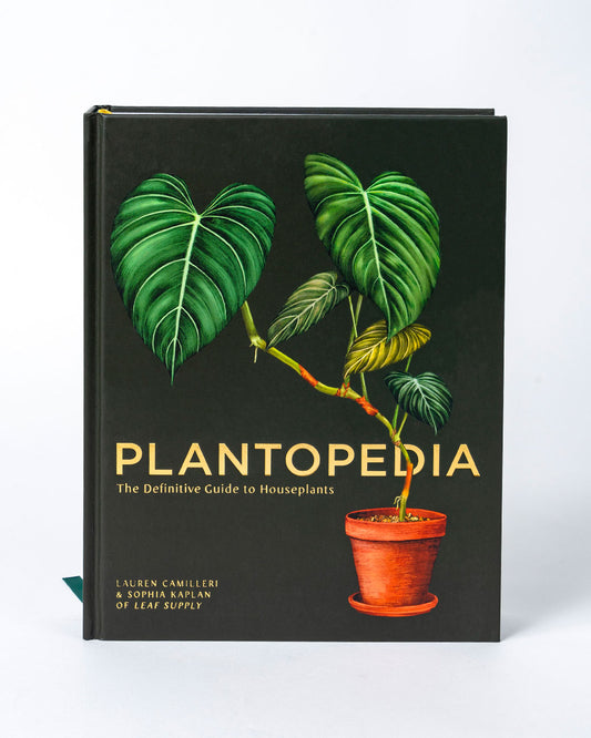 The front cover of the Plantopedia book with an image of a potted plant and "PLANTOPEDIA The Definitive Guide to Houseplants" on it. Shown standing up from the front.