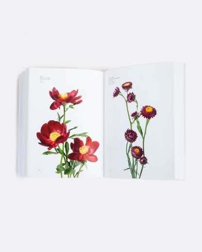 A book open to pages with images of flowers on each page. Shown lying flat from the top.