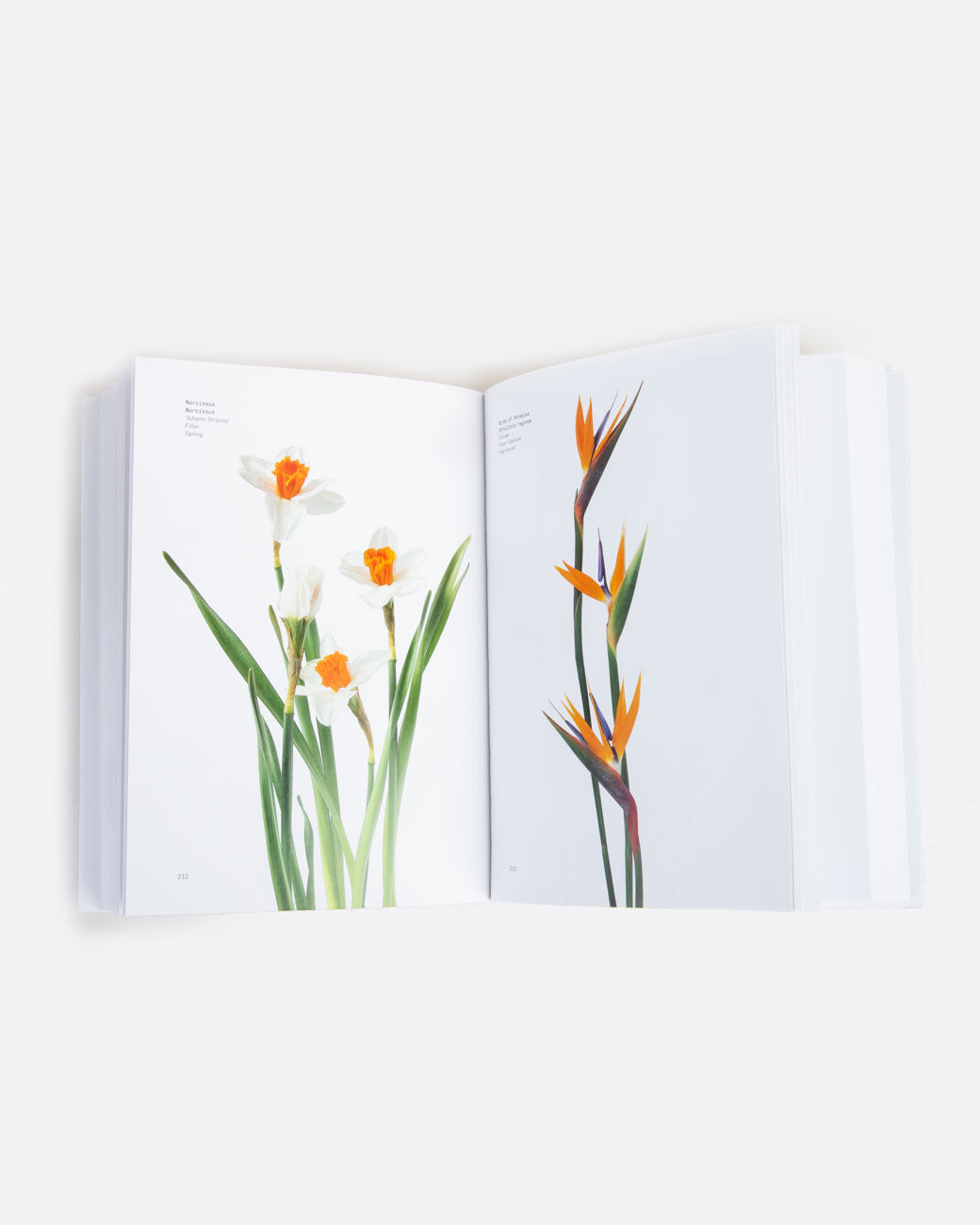 A book open to pages with images of flowers on each page. Shown lying flat from the top.